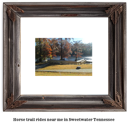 horse trail rides near me in Sweetwater, Tennessee